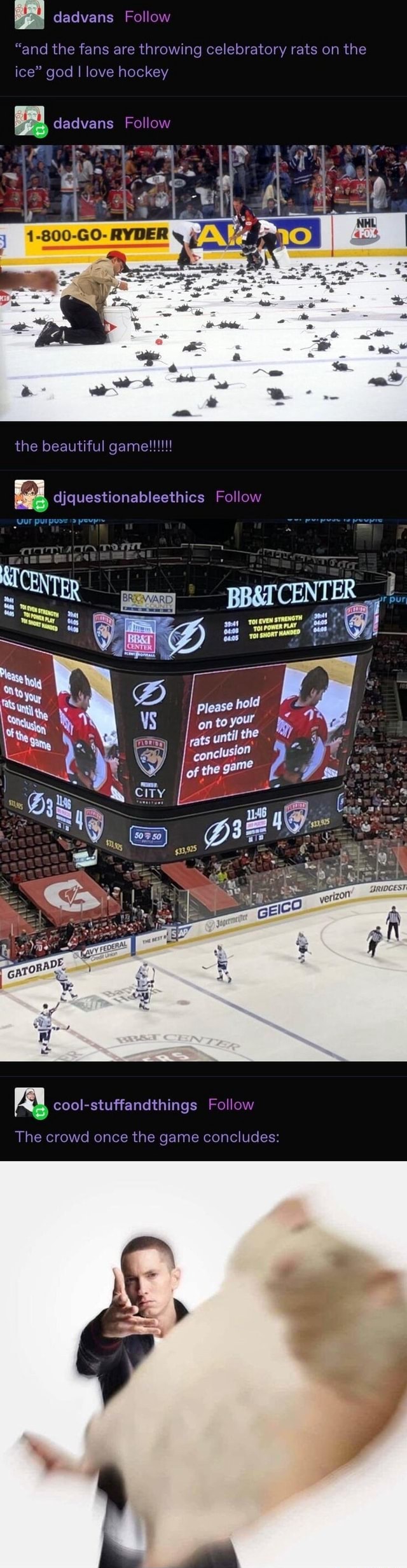 "and the fans are throwing celebratory rats on the ice" god I love