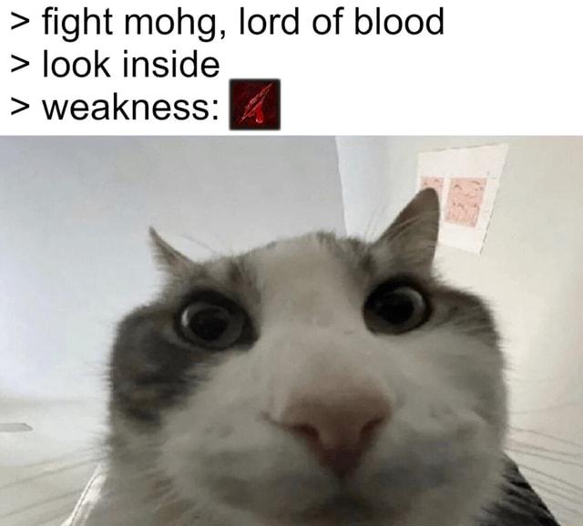 Fight Mohg Lord Of Blood Look Inside Weakness Ifunny