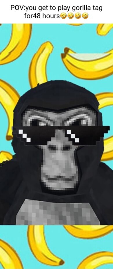 Pov You Get To Play Gorilla Tag For48 Hours Ifunny