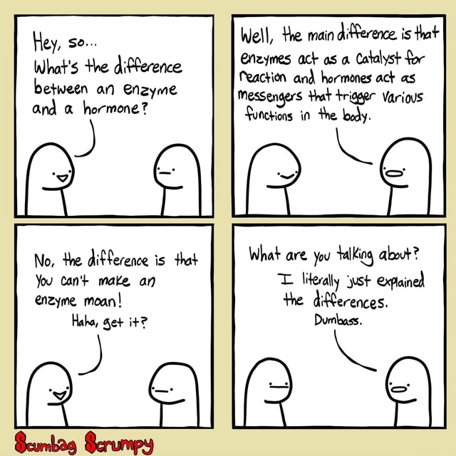 Hey, se... What's the difference between an enzyme and hormone? No, the