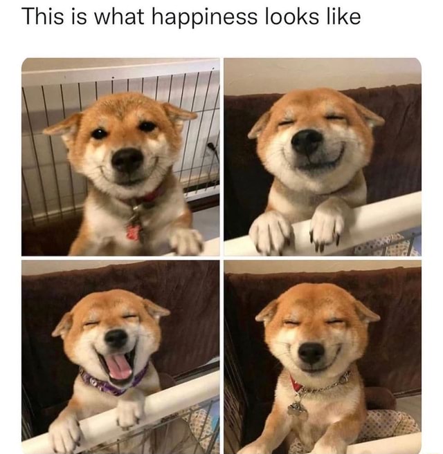 this is what happy looks like movie