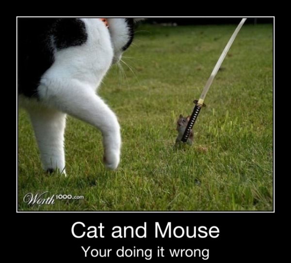 Cat And Mouse Your Doing It Wrong Cat And Mouse Your Doing It Wrong