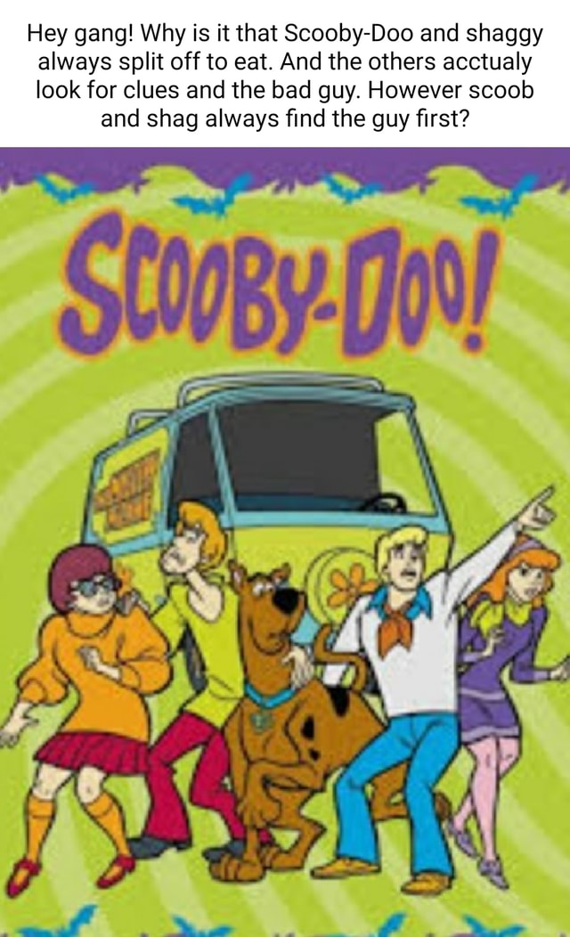 Hey gang! Why is it that ScoobyDoo and shaggy always split off to eat