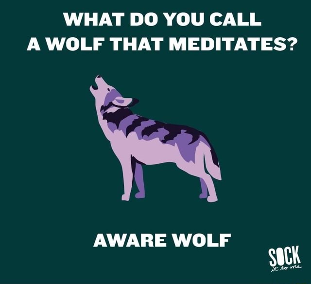 WHAT DO YOU CALL A WOLF THAT MEDITATES? AWARE WOLF iFunny