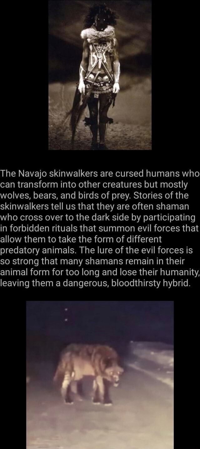 Skinwalker facts - The Navajo ski nwalkers are cursed humans who can ...