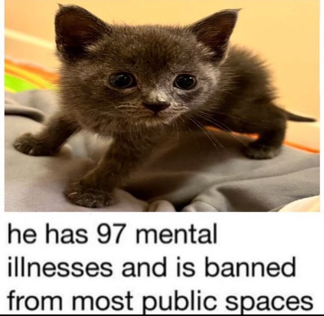 He has 97 mental illnesses and is banned from most public spaces - iFunny