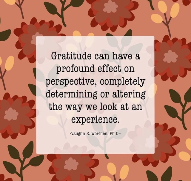 gratitude-can-have-a-profound-effect-on-perspective-completely