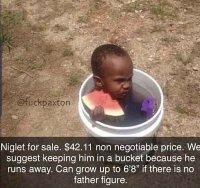 Niglet for sale. $42.11 non negotiable price. W: suggest keeping him in ...