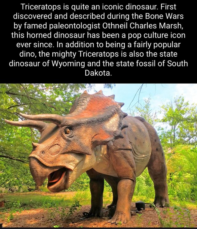Triceratops is quite an iconic dinosaur. First discovered and described