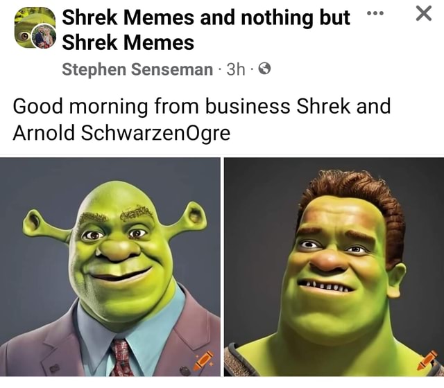 Shrek Memes and nothing but Shrek Memes Stephen Senseman Good morning ...