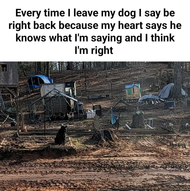 Every time I leave my dog I say be right back because my heart says he