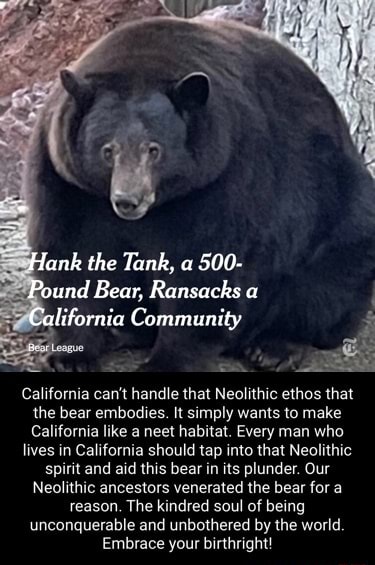 Lank the Tank, a 500- Pound Bear, Ransacks a California Community ...