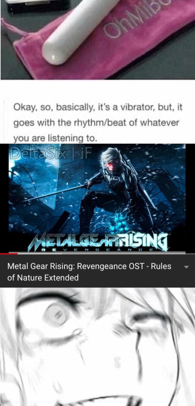 metal gear rising revengeance rules of nature