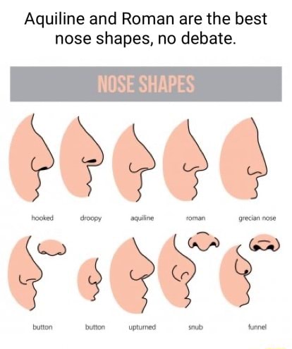 Aquiline and Roman are the best nose shapes, no debate. NOSE SHAPES ...