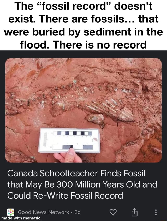 The "fossil record" doesn't exist. There are fossils... that were