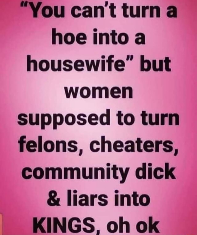 You Can T Turn A Hoe Into A Housewife But Women Supposed To Turn