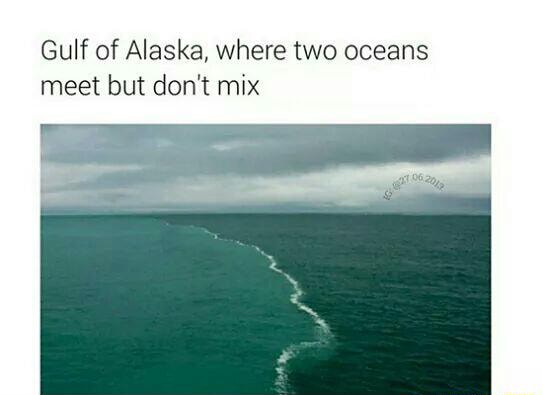 Gulf Of Alaska Where Two Oceans Meet But Don T Mix