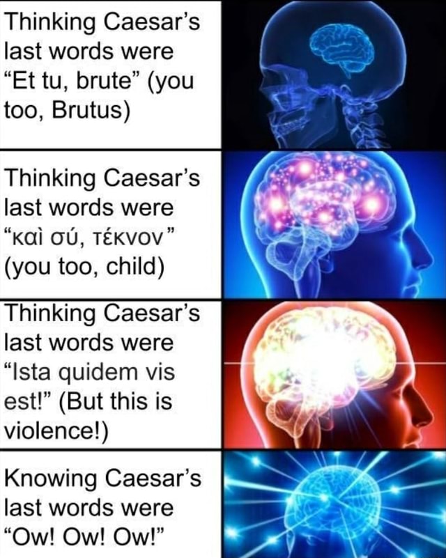 thinking-caesar-s-last-words-were-et-tu-brute-you-too-brutus