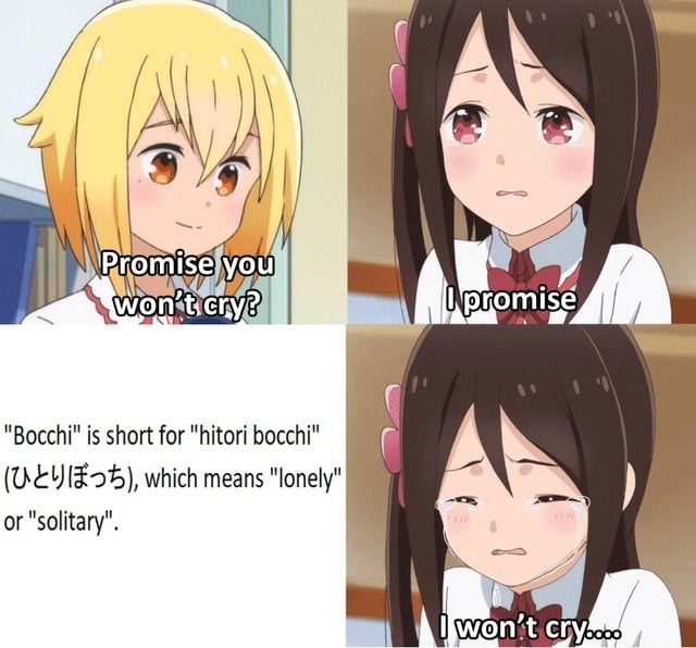 Promise you Bocchi is short for hitori bocchi (WEY which means lonely  or solitary. - iFunny