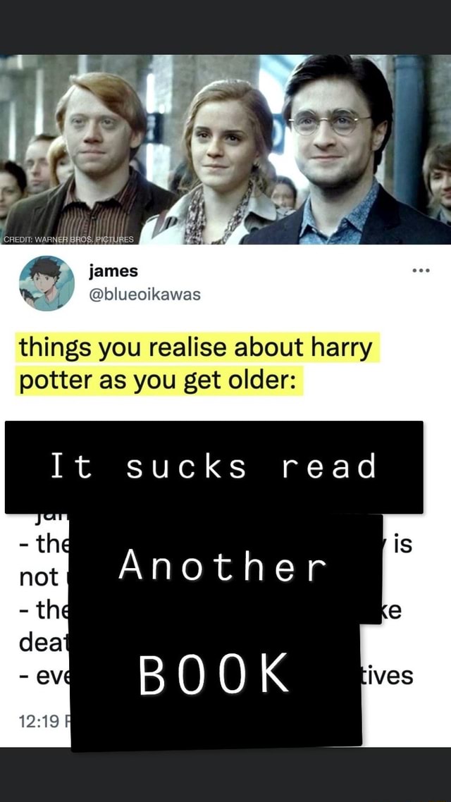 James @blueoikawas things you realise about harry potter as you get ...