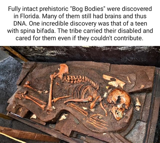 Fully intact prehistoric "Bog Bodies" were discovered in Florida. Many