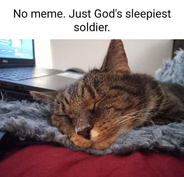 No Meme. Just God's Sleepiest Soldier. - Ifunny