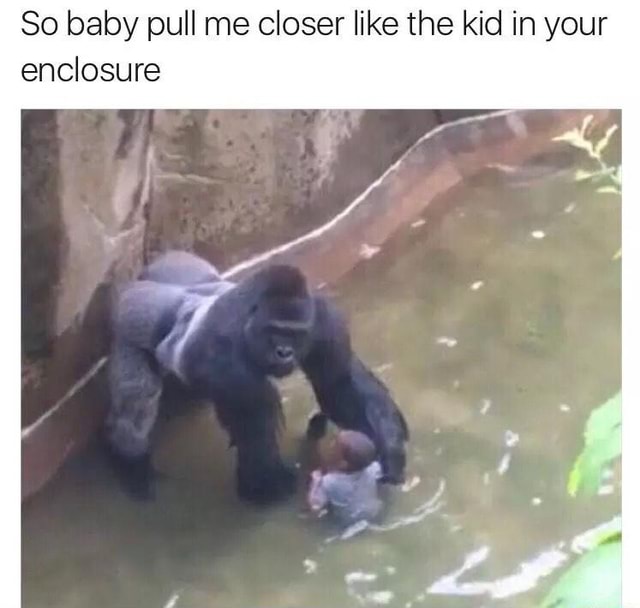 so baby pull me closer like that kid in the enclosure