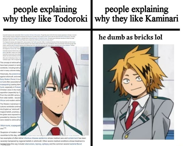 People explaining I people explaining why they like Todoroki why they like Kaminari he dumb as