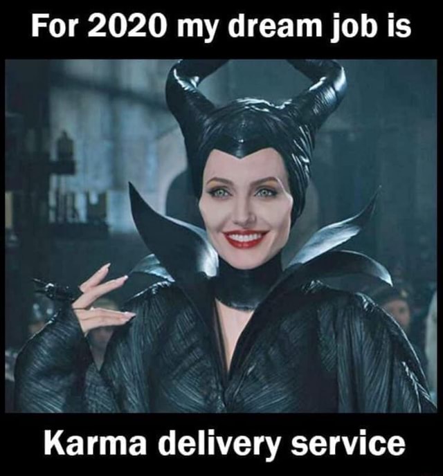 Sounds promising - For 2020 my dream job is SS Karma delivery service ...