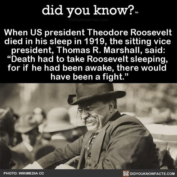 Did you know? When US president Theodore Roosevelt died in his sleep in ...