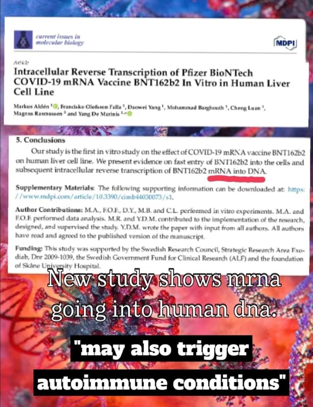 Motecular Intracellular Reverse Transcription Of Pfizer BioNTech COVID ...