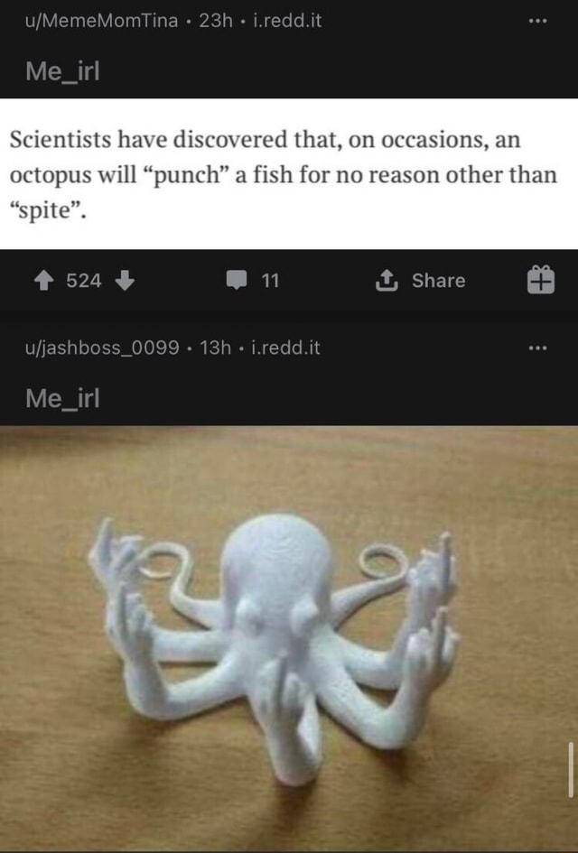 I.redd.it Me_irl Scientists have discovered that, on occasions, an