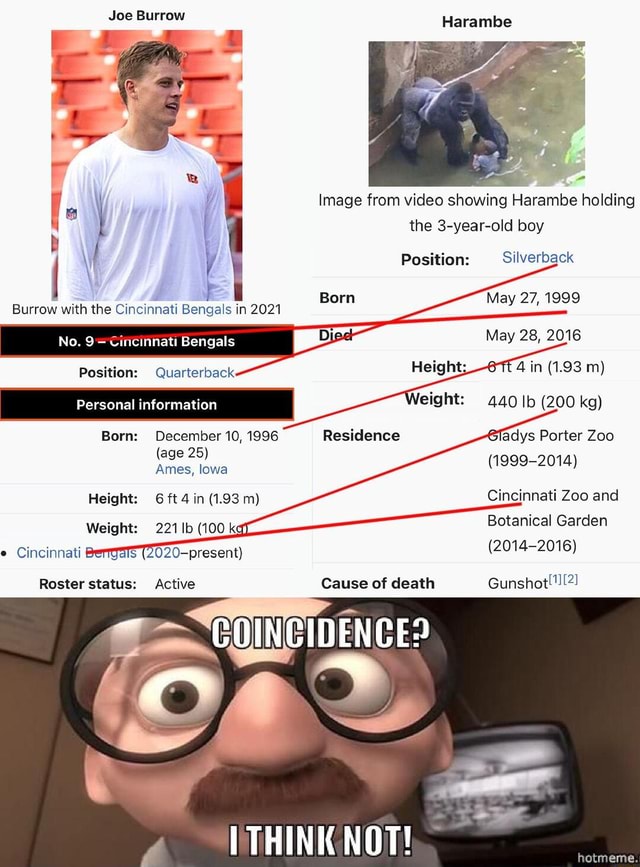 Joe Burrow Burrow with the Cincinnati Bengals in 2021 No. Position