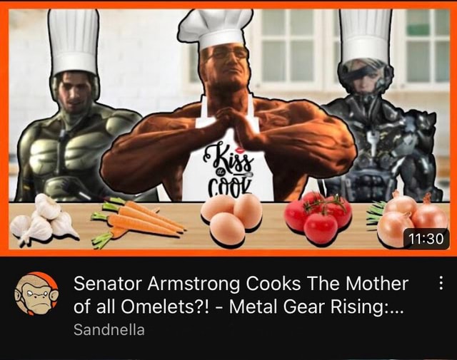 Senator Armstrong Cooks The Mother of all Omelets?! Metal Gear Rising