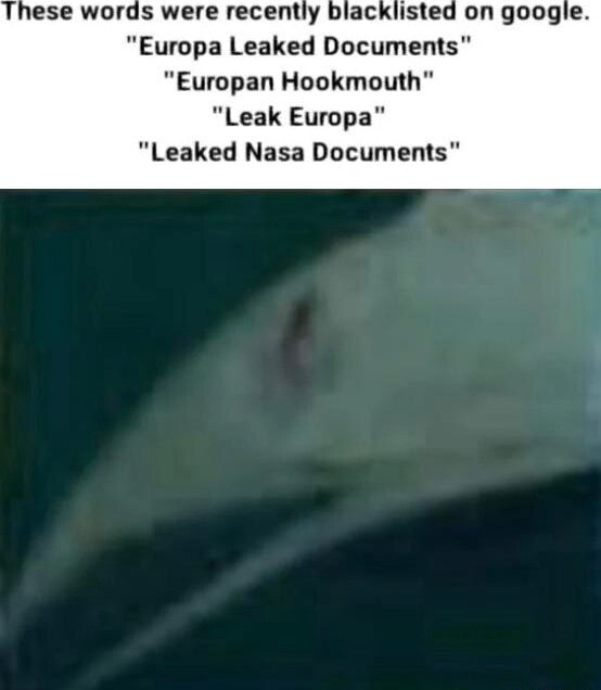 These words were recently "Europa Leaked Documents" "Europan Hookmouth