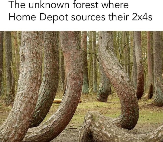 The Unknown Forest Where Home Depot Sources Their 2x4s IFunny   91f80c1f264bd3c416e643c4f97ff1aeba55d9ceeacf00acb1bc8f281aa743ab 1 