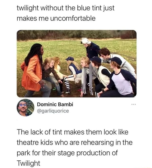 Opps - twilight without the blue tint just makes me uncomfortable Dominic  Bambi @garliquorice The lack of tint makes them look like theatre kids who  are rehearsing in the park for their