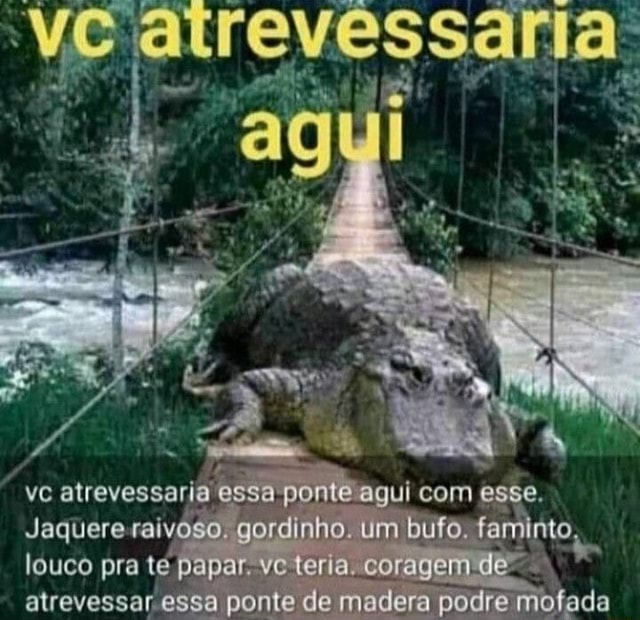 Vc Atrevessaria Essa Ponte Agul Com Esse Jaquere Ralvoso Gordinho Um