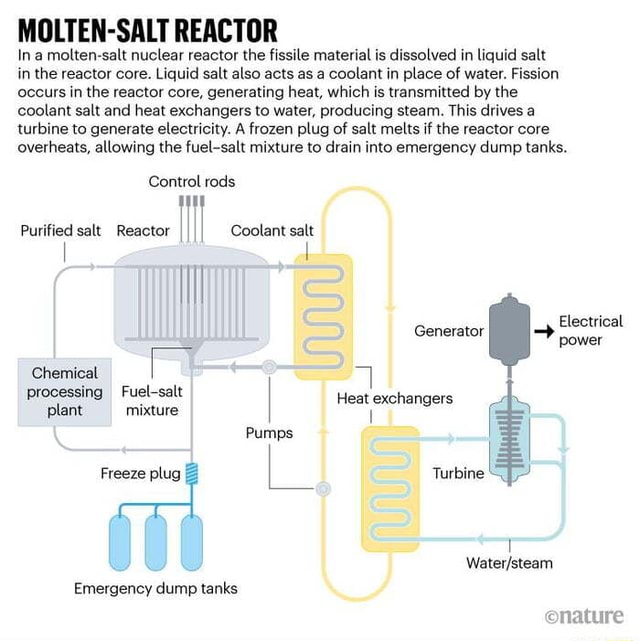 fission product behavior in the molten salt reactor experiment