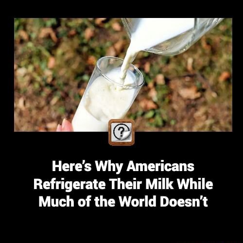 Here's Why Americans Refrigerate Their Milk While Much of the World Doesn't America’s best