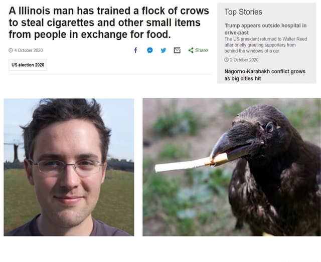 A Illinois man has trained a flock of crows _Top Stories to steal ...