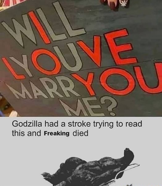 Godzilla had a stroke trying to read this and Freaking died iFunny