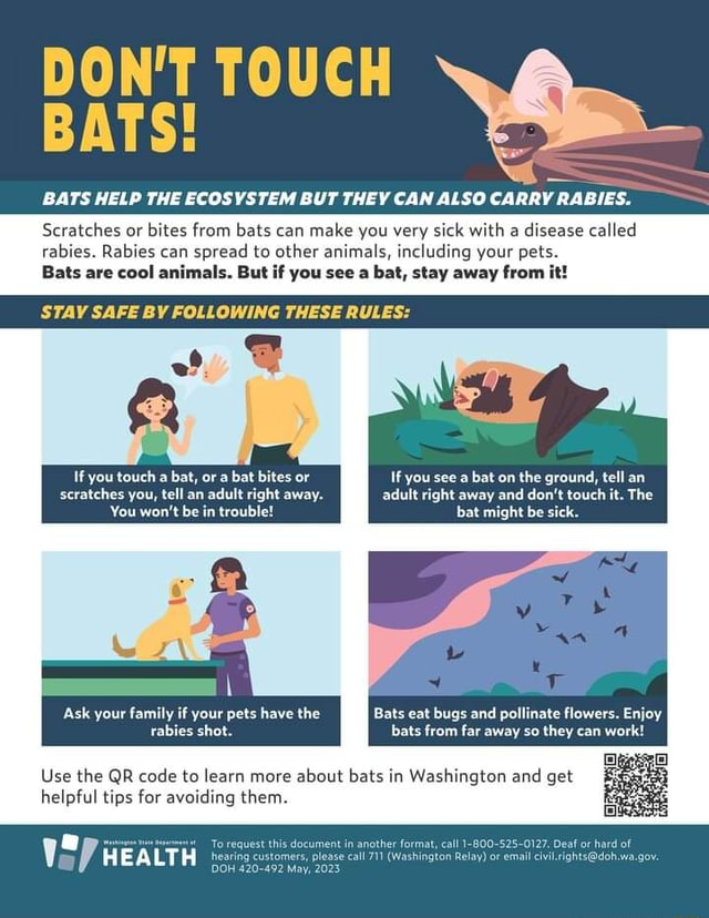 DON'T TOUCH BATS! BATS HELP THE ECOSYSTEM BUT THEY CAN ALSO CARRY RABIES. Scratches or bites