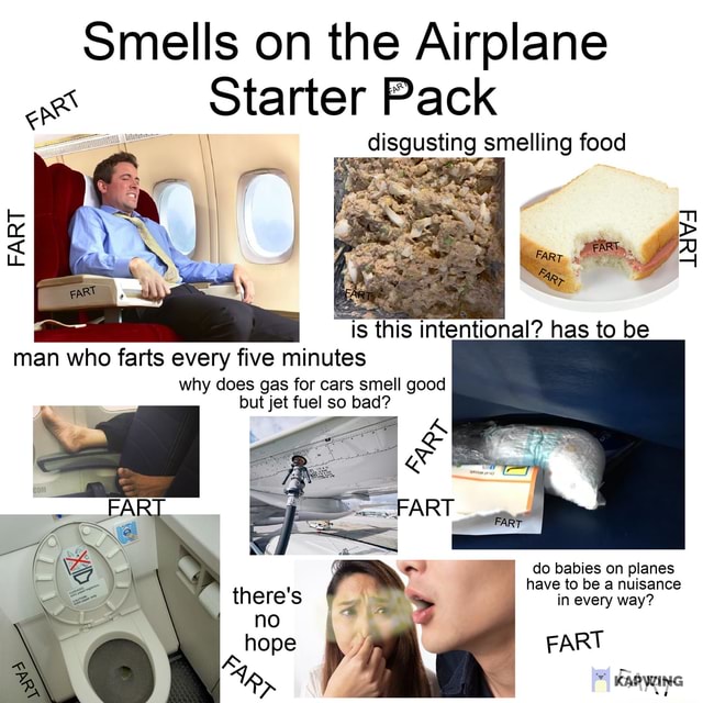 Smells on the Airplane as Starter Pack disgusting smelling food FART