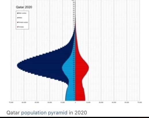 (Qatar 2020 Qatar population pyramid in 2020 - iFunny