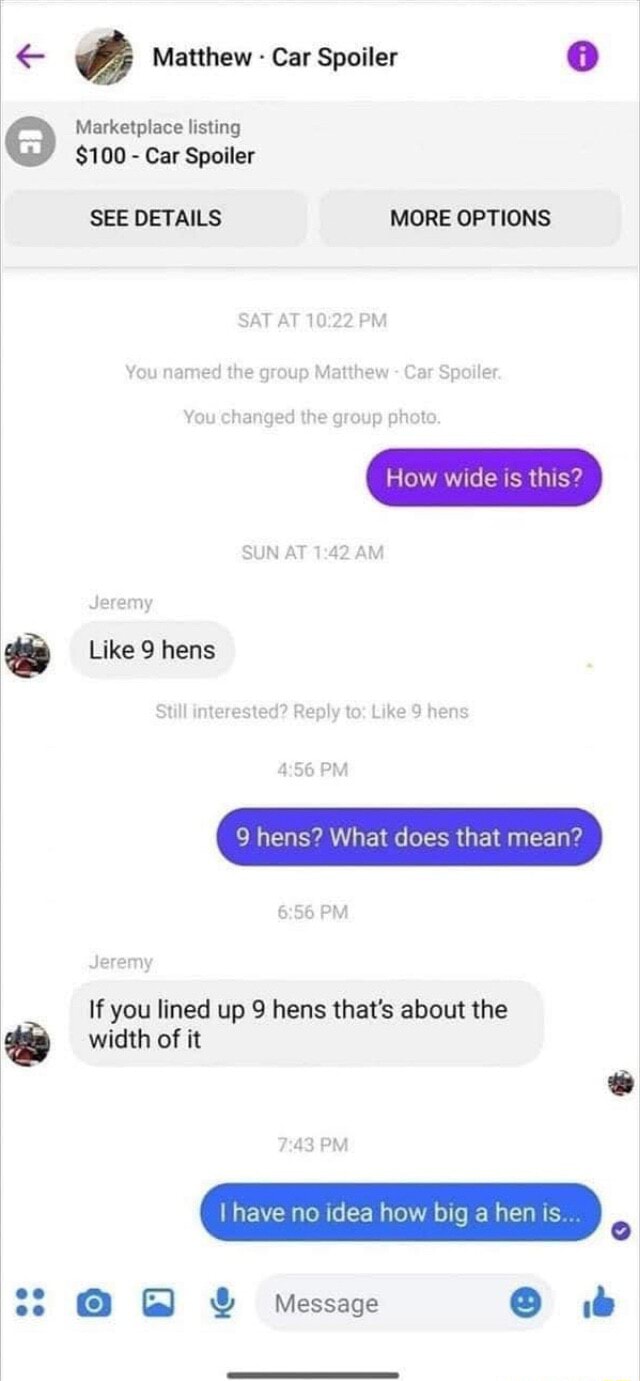 Matthew Car Spoiler Marketplace listing I 100 Car Spoiler SEE