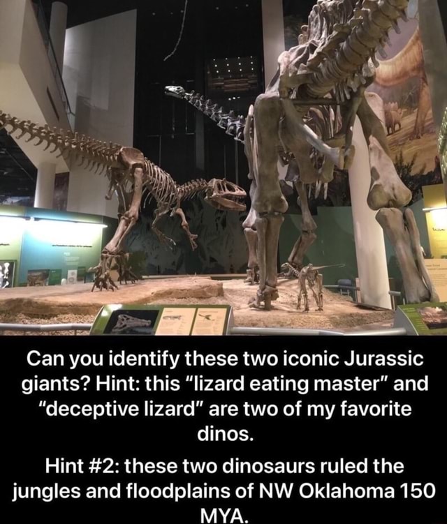 Can you identify these two iconic Jurassic giants? Hint this "lizard