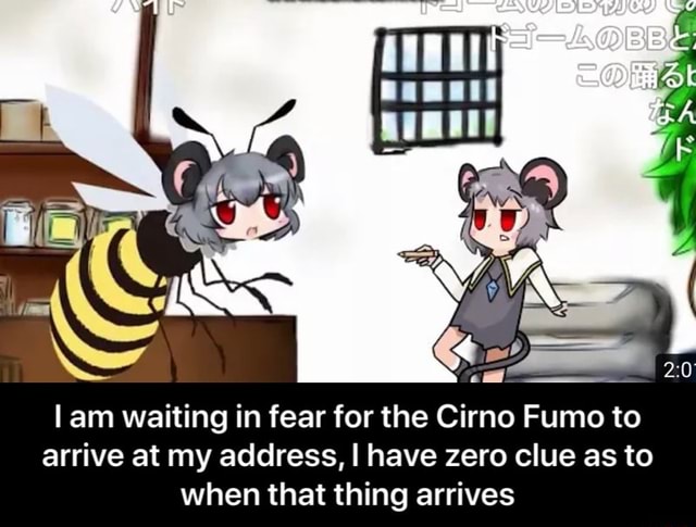 Lam waiting in fear for the Cirno Fumo to arrive at my address, I have