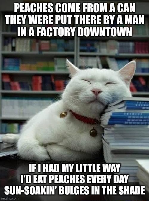 The Pussy of the united states of america PEACHES COME FROM A CAN