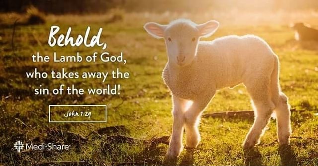 Behold, the Lamb of God, who takes away the sin of the world! John - iFunny